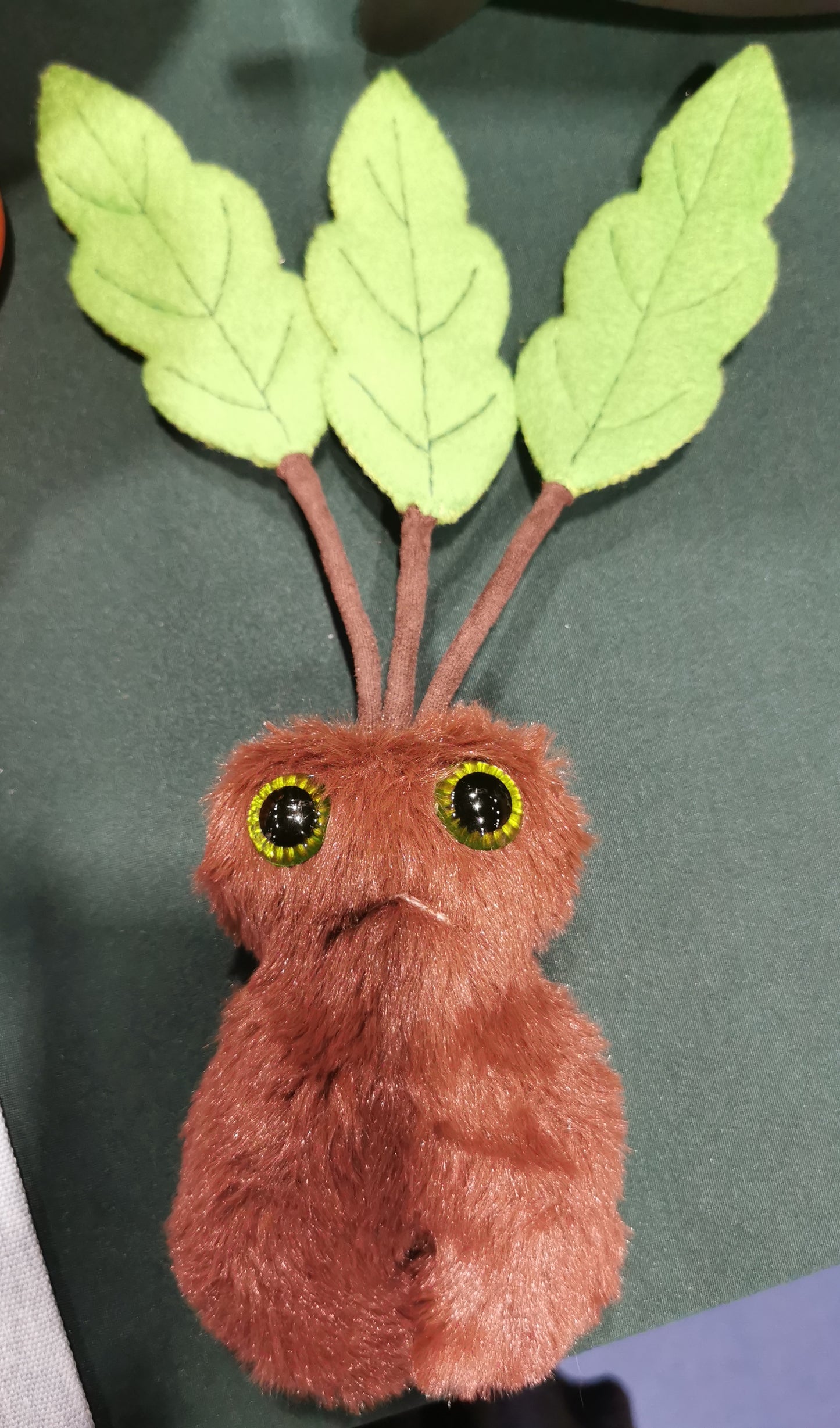 Grumpy Mandrakes